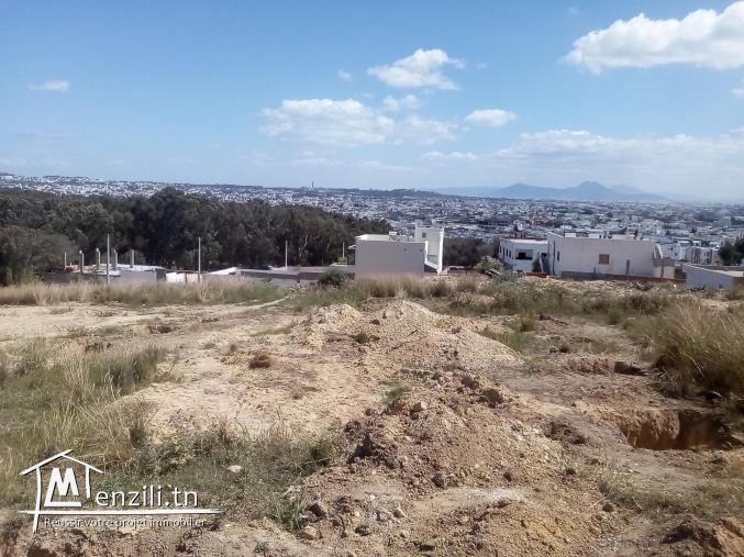 Terrain a vendre GAMMARTH SUPÉRIEURE