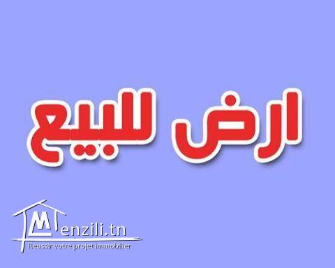 terrain a vendre mahdia de 466 m²