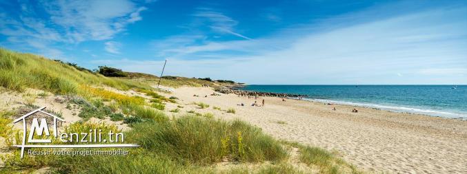 vente de terrain a chatt ezzouhour