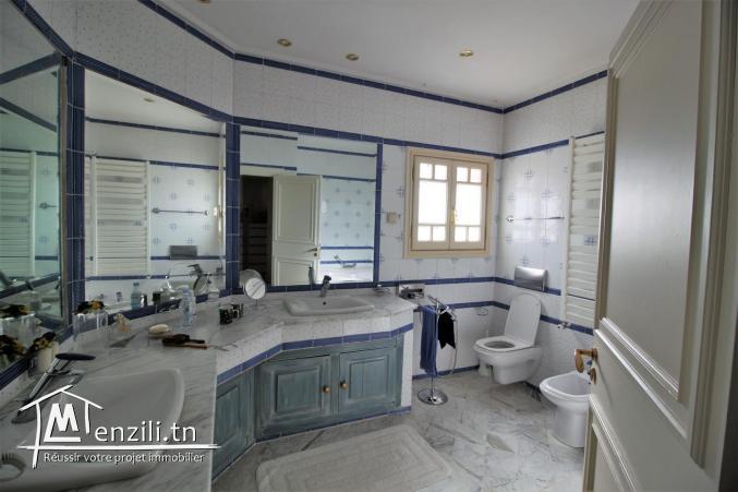 Lumineux duplex au coeur de la Marsa