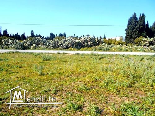 terrain à Nabeul 163m AD