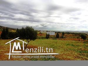 un lot de 1500 m² Sidi Jdidi AD