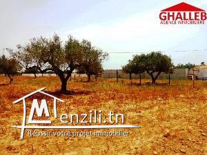 lot de 255 m² titré Yasmine Hammamet AD