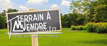 Terrain résidentiel de 332 m² - Tormos Mahdia- 99 600 TND