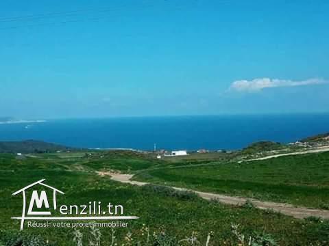 للبيع ارض سقوية بشاط مامي