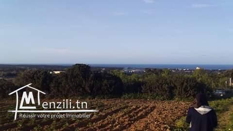 للبيع ارض سقوية بشاط مامي