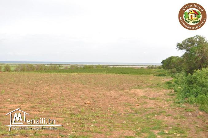 large terrain a lebna