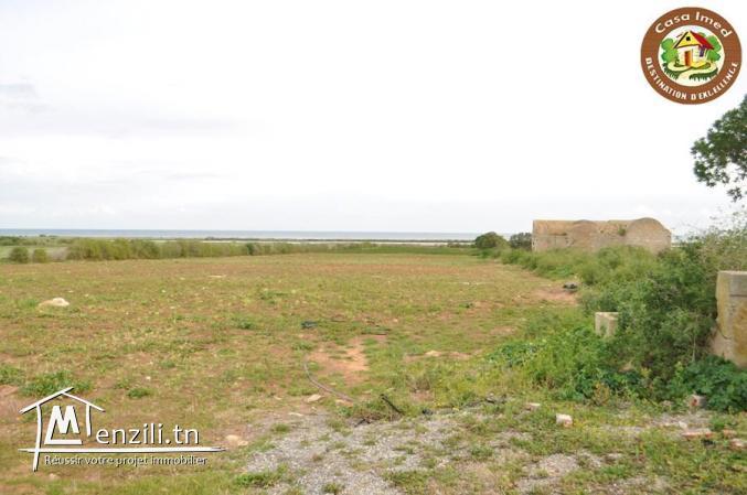 large terrain a lebna