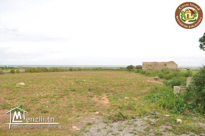 large terrain a lebna