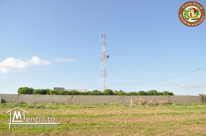 terrain achat ezzohour