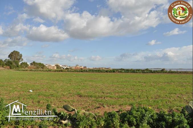 magnifique terrain sur route principal  korba-manzel tmime