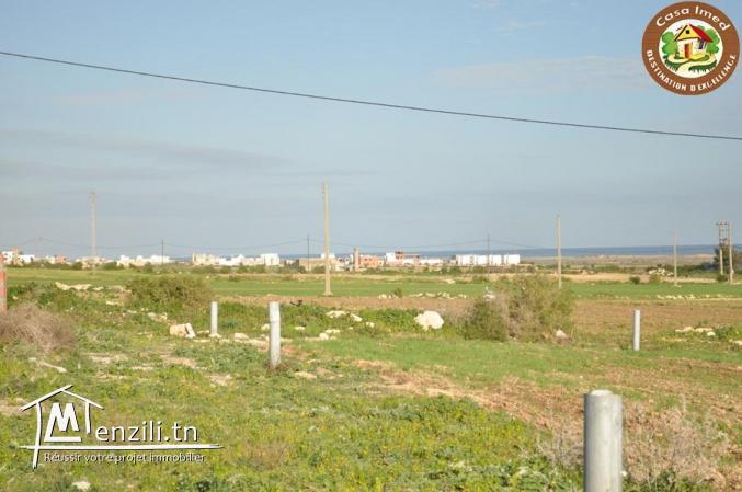 3 lots de 500m² l'un a chat ezzohour