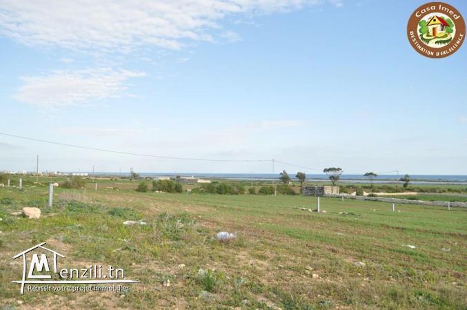 3 lots de 500m² l'un a chat ezzohour