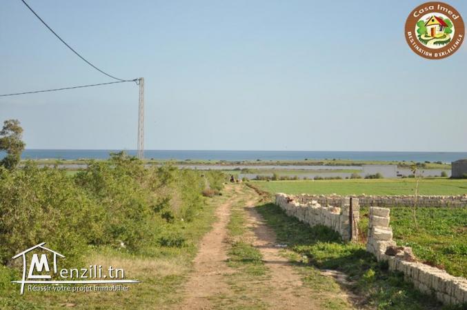 3 lots de 500m² l'un a chat ezzohour