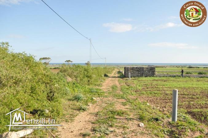 3 lots de 500m² l'un a chat ezzohour