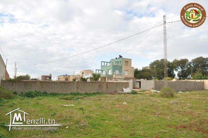 terrain a chat zohour