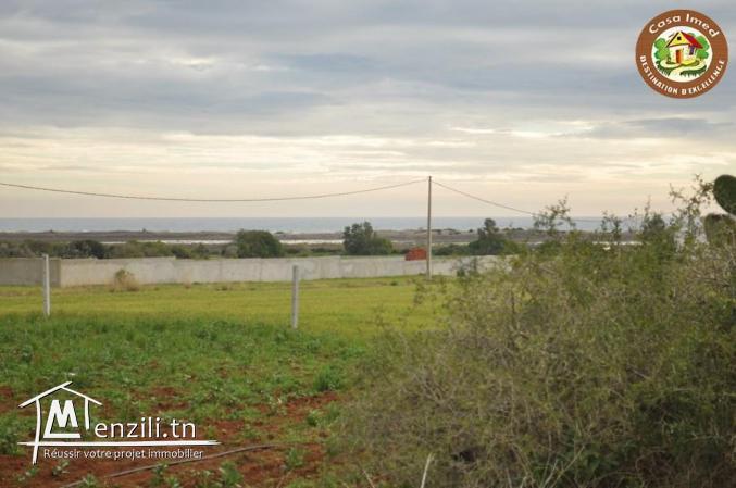 terrain a chat zohour