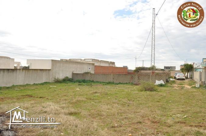 terrain a chat zohour