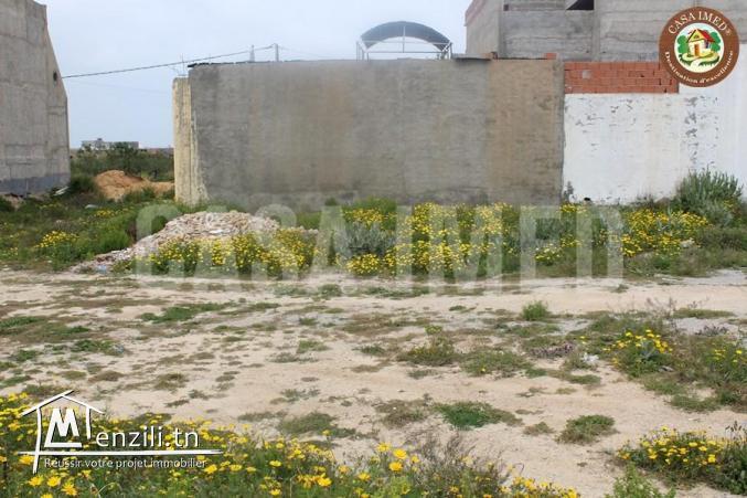 3 lots de terrain a maamoura