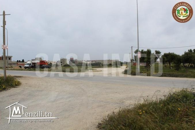 3 lots de terrain a maamoura