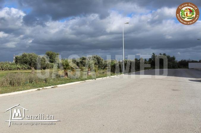 superbe terrain a tazarka