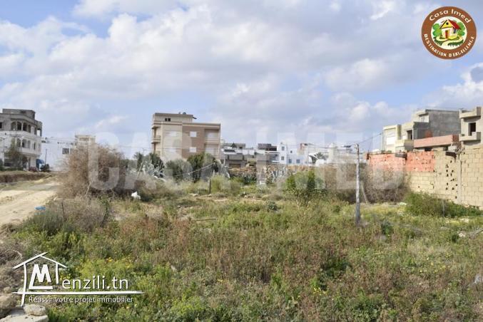 terrain a beni khiar