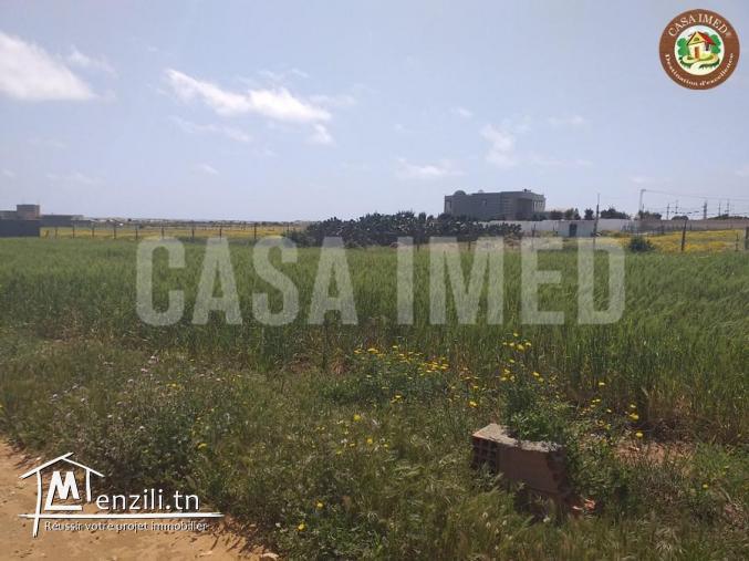 4 lots a chat zohour