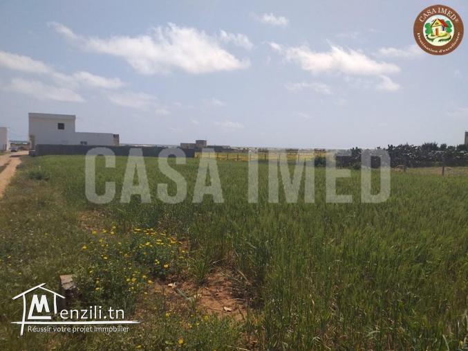 4 lots a chat zohour