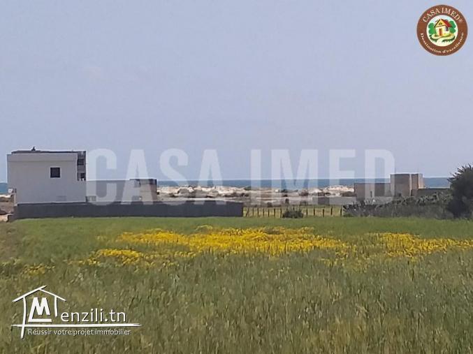 4 lots a chat zohour