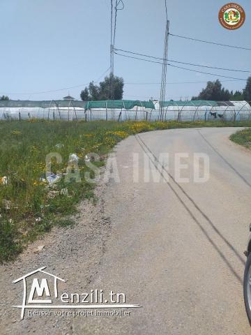 4 lots a chat zohour