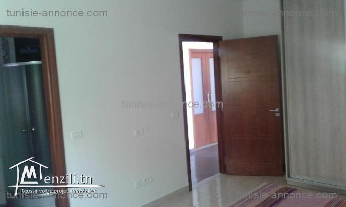 modern villa with big garden and pool