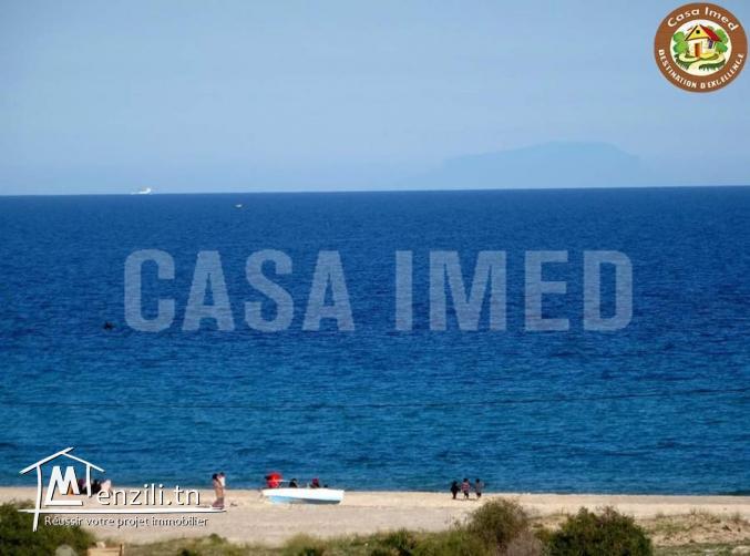 terrain a manzel horr