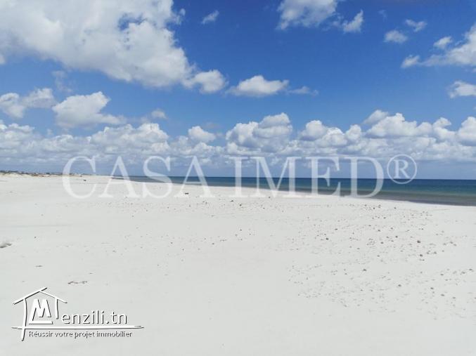 terrain a manzel horr