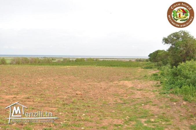 3 lots de terrain a lebna