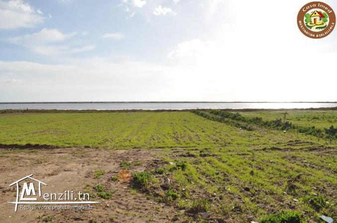 terrain sur route principal korba-manzel temime