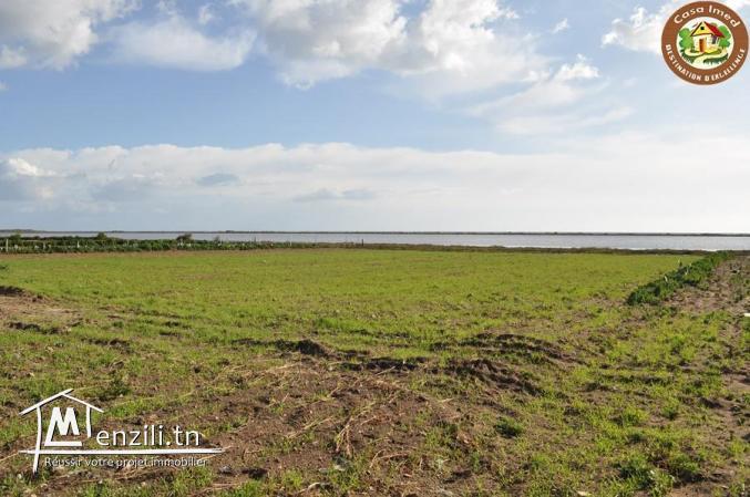 terrain sur route principal korba-manzel temime