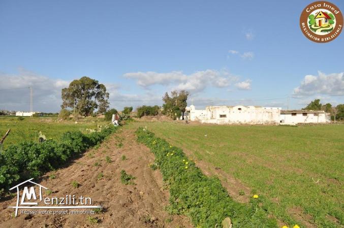 terrain sur route principal korba-manzel temime