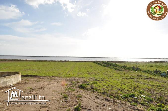terrain sur route principal korba-manzel temime