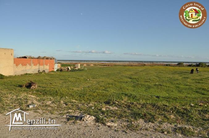 large terrain a tazarka