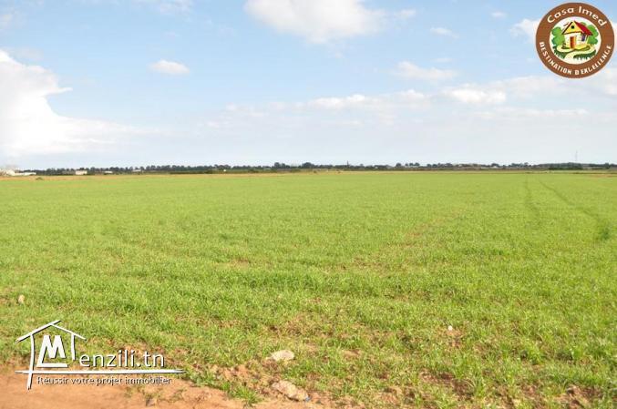 superbe terrain a tafeloune