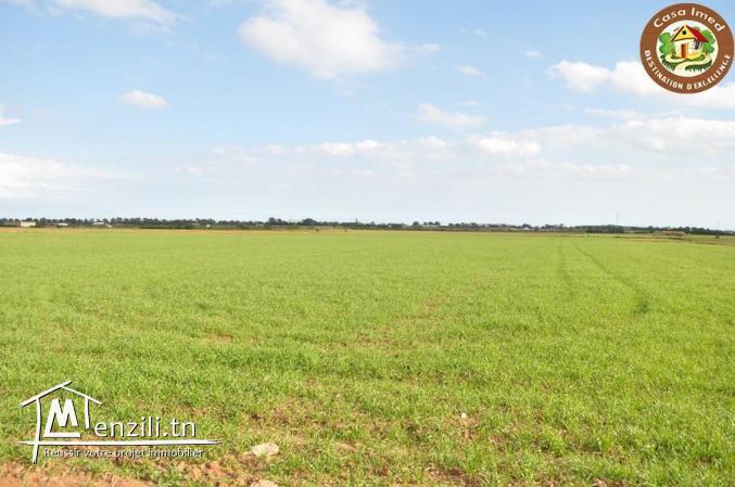 superbe terrain a tafeloune