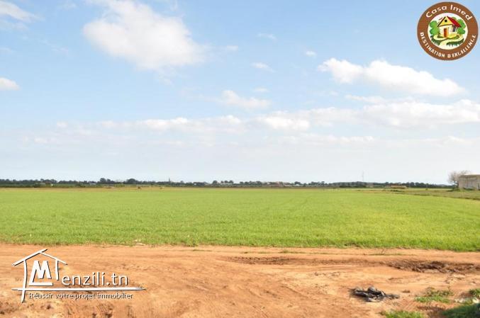 superbe terrain a tafeloune