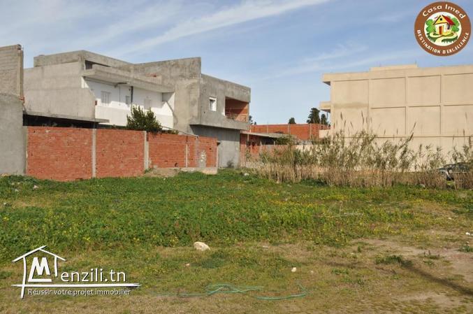 terrain a tazarka de 230m²