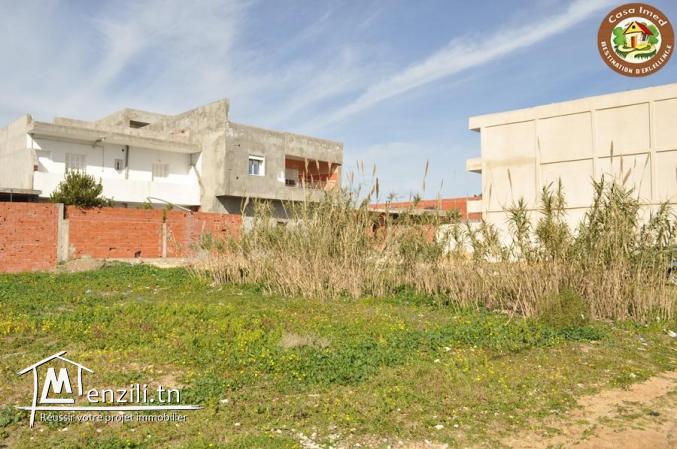 terrain a tazarka de 230m²