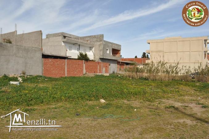 terrain a tazarka de 230m²