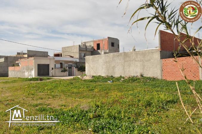 terrain a tazarka de 230m²