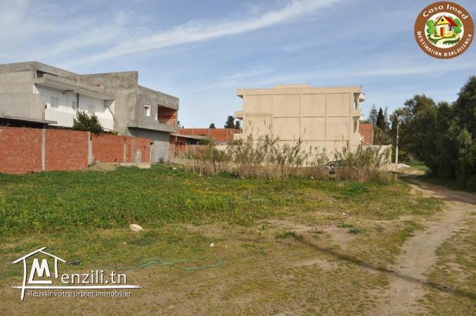 terrain a tazarka de 230m²