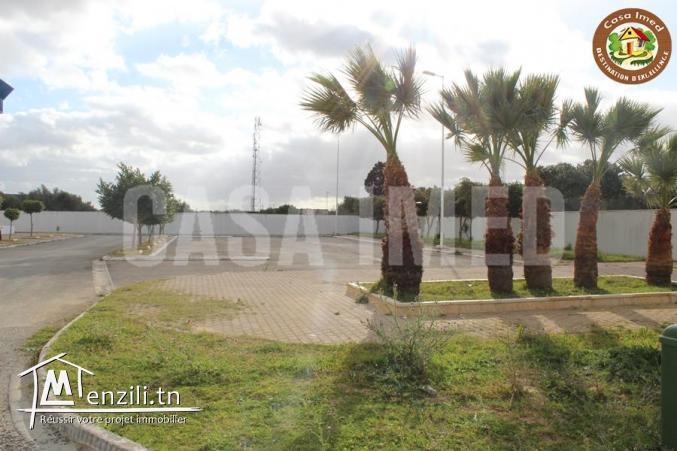 superbe terrain a tazarka prix 122000 dt