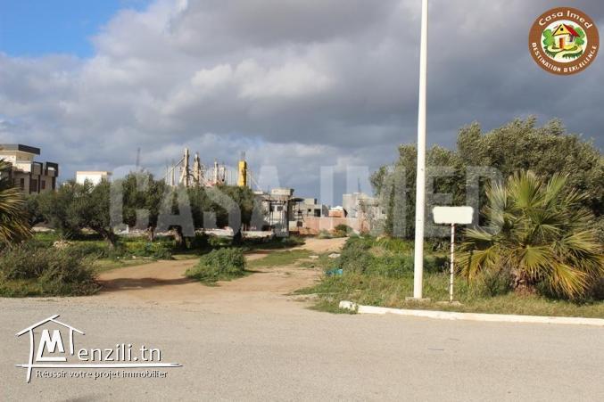 superbe terrain a tazarka prix 122000 dt