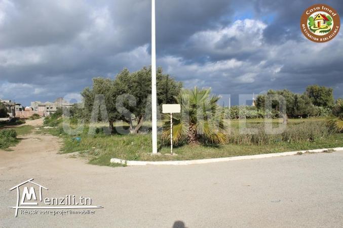 superbe terrain a tazarka prix 122000 dt